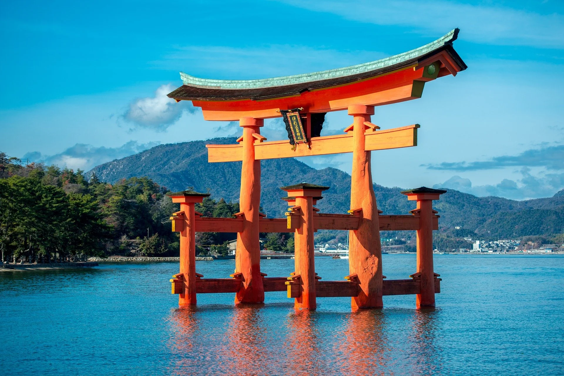 Japan Cherry Blossom Cruise 2028 | Adventure Bears — Adventure Bears